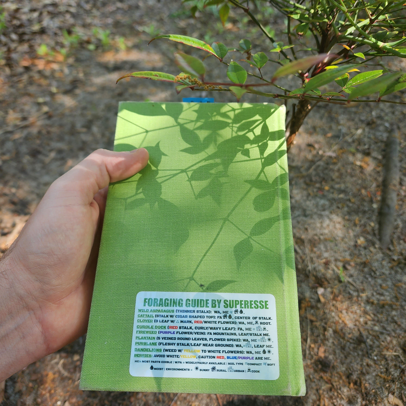 Foraging Guide Decal - Plants and Edibles Quick Identification Referen ...