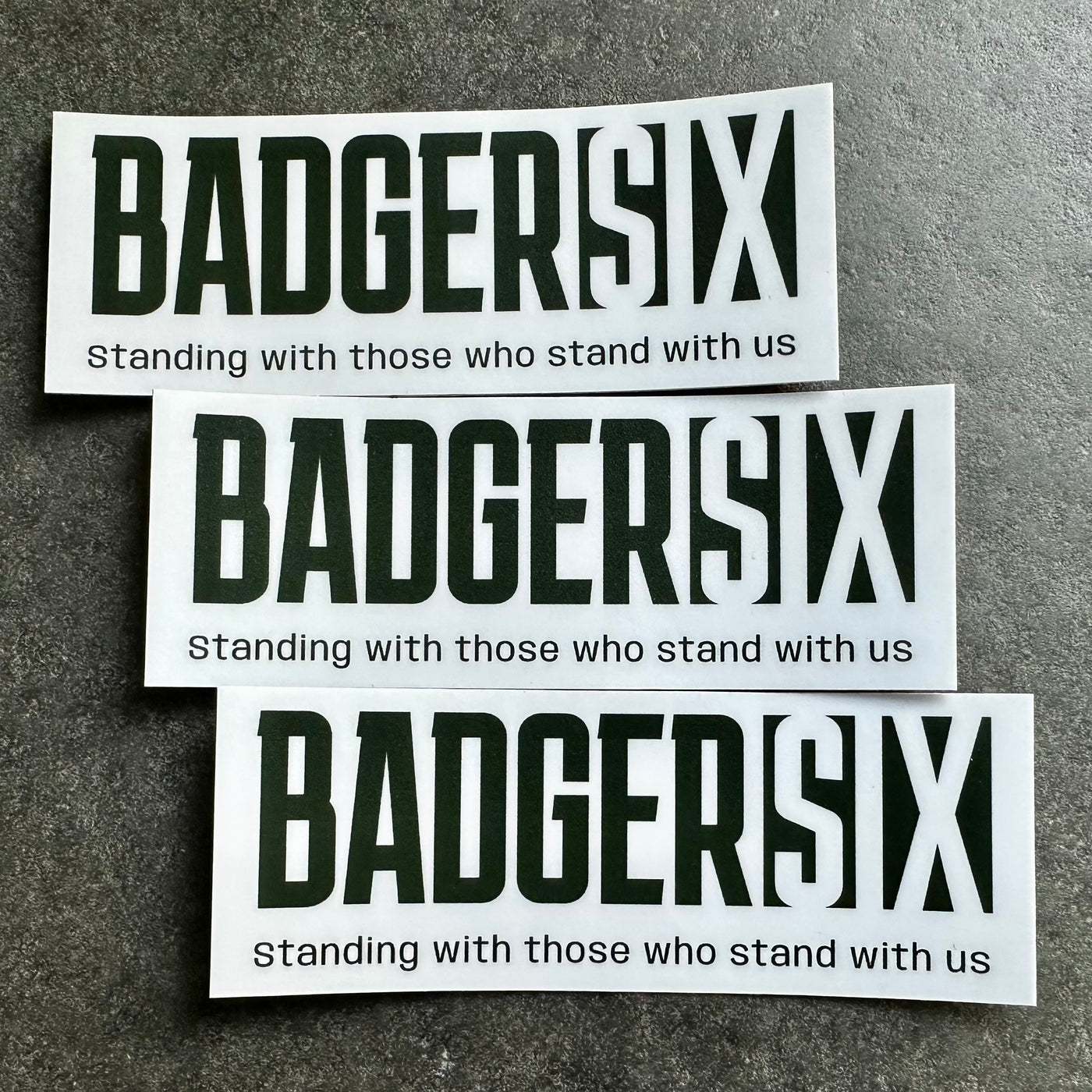 Badger Six Fundraiser Sticker
