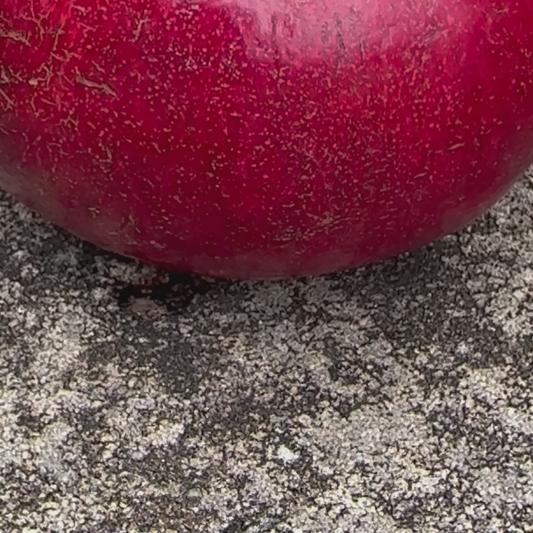 FiberTanium Ice Pick