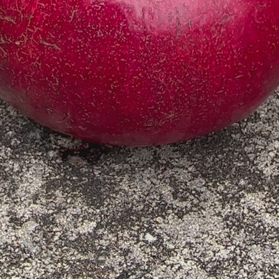 FiberTanium Ice Pick